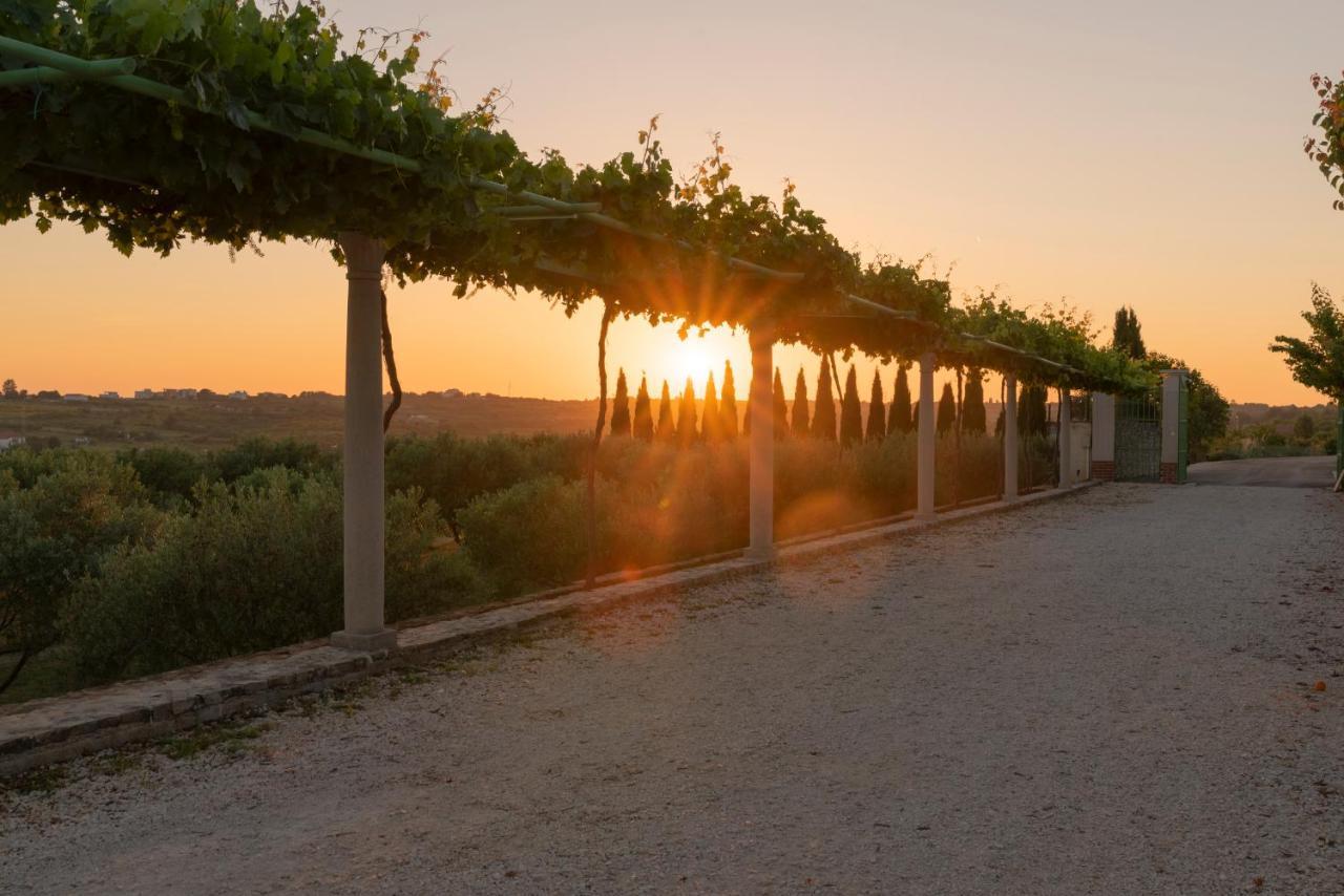 Villa Albina & Domenica Zadar Zewnętrze zdjęcie